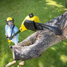 Best Lawn Irrigation Installation and Maintenance  in Santa Clara, CA